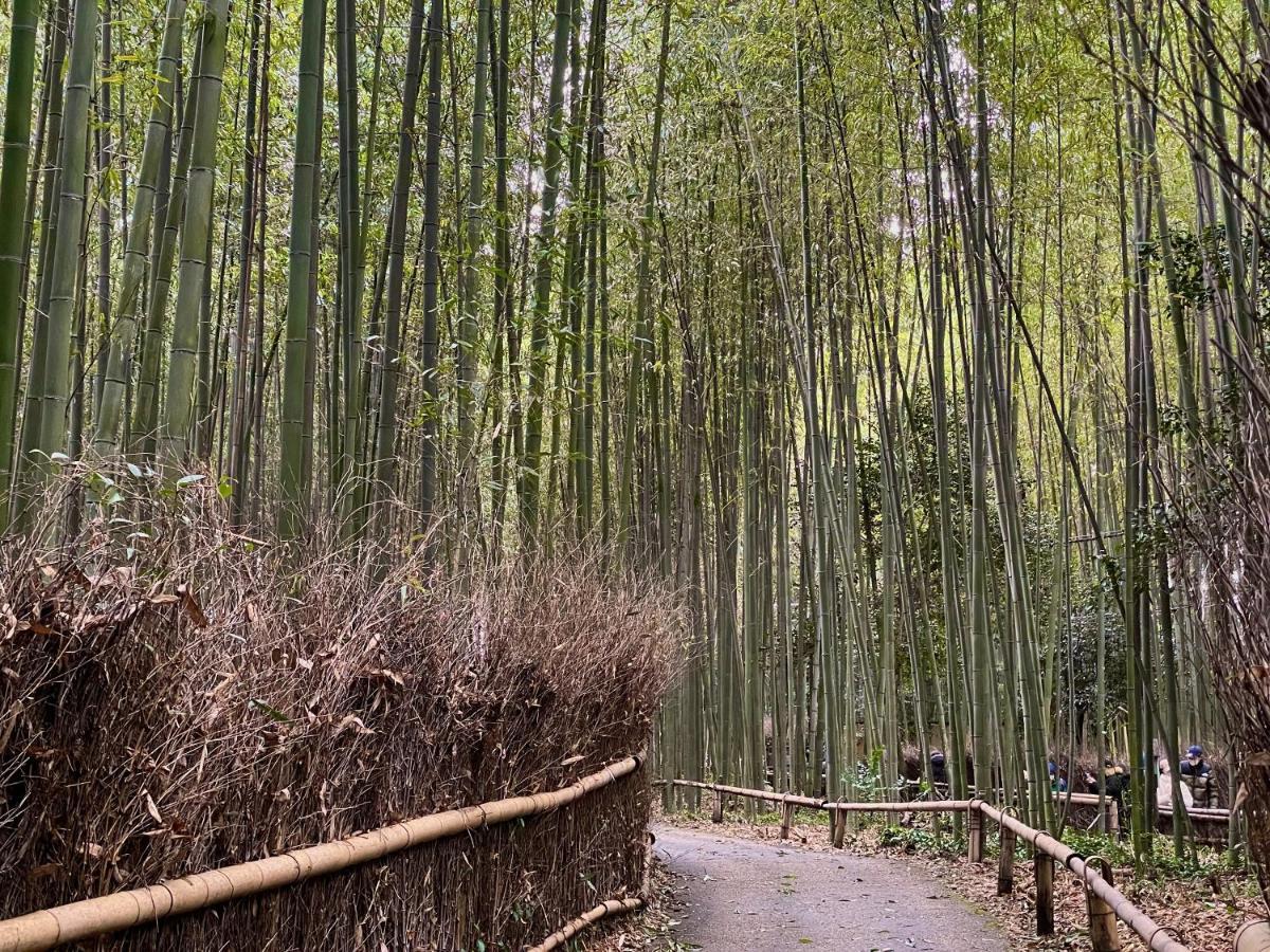 Yado Arashiyama Hotel Kyoto Luaran gambar